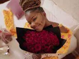 VIDEO: Nkosazana Daughter – Valentines ft. Kabza De Small Mp3 Download Fakaza