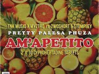 TNK MusiQ, Myztro & Xduppy – Am’apetito ft 2woshort & Stompiiey Mp3 Download Fakaza
