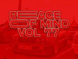 DJ Ace – Peace of Mind Vol 77 Mp3 Download Fakaza