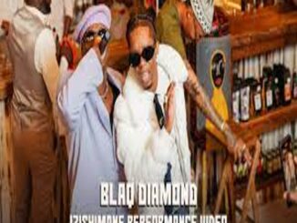VIDEO: Blaq Diamond – Izishimane Music Video Download Fakaza