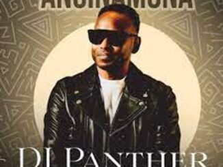 DJ Panther – Anginamona ft MaWhoo Mp3 Download Fakaza