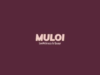 LeeMcKrazy & QuayR ft Pushkin RSA – Muloi Mp3 Download Fakaza