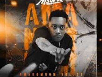 Msaro – Musical Exclusiv #AmaNomNom Vol.36 Mix Mp3 Download Fakaza