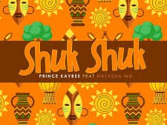 Prince Kaybee – Shuk Shuk ft. Natasha MD Mp3 Download Fakaza