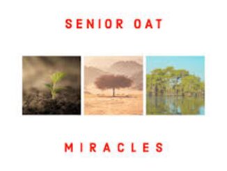 Senior Oat – Reason To Pray ft Ms Abbey & AndyLesh Mp3 Download Fakaza