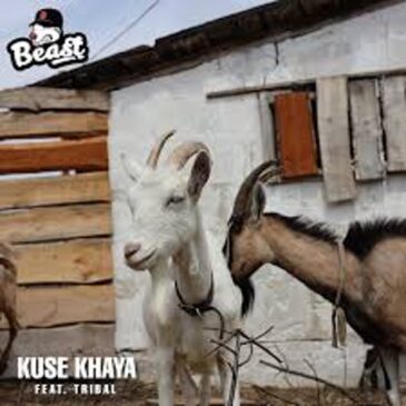 Beast RSA – Kuse Khaya ft. Tribal Mp3 Download Fakaza