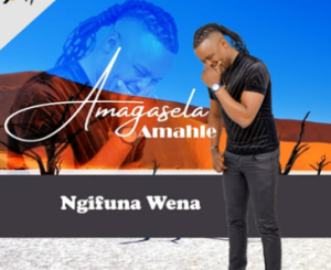 EP: Stabhilithi – Amagasela Amahle (Ngifuna Wena)  Download Fakaza