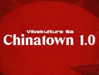 Vibekulture Sa – Chinatown 1.0 Mp3 Download Fakaza