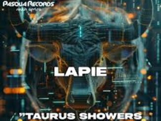 Lapie – The Groove (Deep Essentials Revisit) Ft. 8nine Muzique Mp3 Download Fakaza