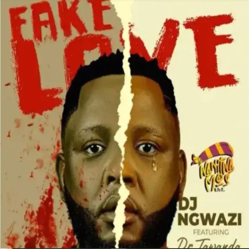 DJ Ngwazi Fake Love Ft. Dr Tawanda & Nelcy-B Mp3 Download fakaza