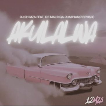 Shimza Akulalwa ft. Dr Malinga Mp3 Download Fakaza
