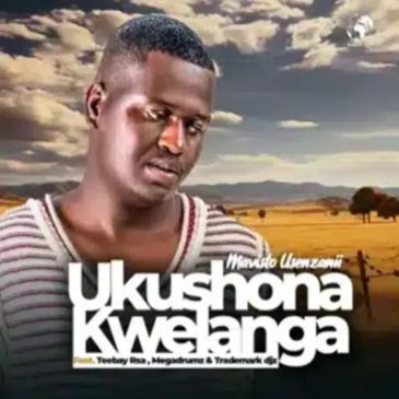 Mavisto Usenzanii Uk’shona Kwelanga ft Teebay RSA, Megadrumz & Trademark Djz Mp3 Download fakaza
